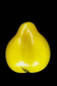 Beam's Yellow Pear MUTANT!